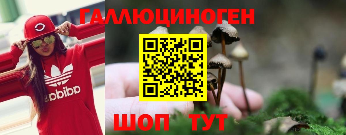 Псилоцибиновые грибы ЛСД  Вход с VPN  Элиста 